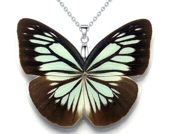 Real Butterfly Wing Necklace (WHOLE Pareronia Boebera Butterfly - W111) - USD5 off Coupon Code: US5OFF (Min.Spend USD40) - Buy 2 Get 1 Free