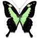 see more listings in the Whole Butterfly Necklace section