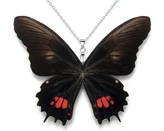 Real Butterfly Wing Necklace / Pendant (Papilio Isidorus Butterfly W123) - USD5 off Coupon Code: US5OFF (Min.Spend USD40) - Buy 2 Get 1 Free