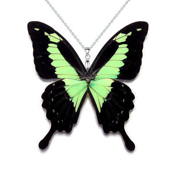 Real Butterfly Wing Necklace / Pendant (WHOLE Papilio Phorcas - W029) - USD5 off Coupon Code: US5OFF (Min.Spend USD40) - Buy 2 Get 1 Free