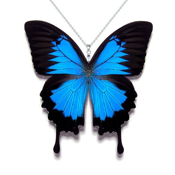 Real Butterfly Wing Necklace (Blue Papilio Ulysses Butterfly - W012) - USD5 off Coupon Code: US5OFF (Min.Spend USD40) - Buy 2 Get 1 Free