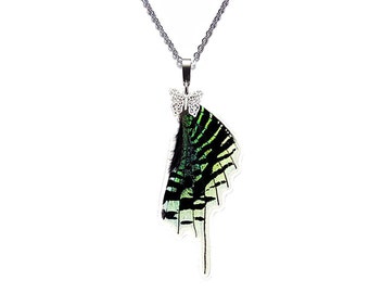 Real Butterfly Wing Pendant / Necklace  (Urania Leilus Hindwing - N036) - USD5 off Coupon Code: US5OFF (Min.Spend USD40) - Buy 2 Get 1 Free