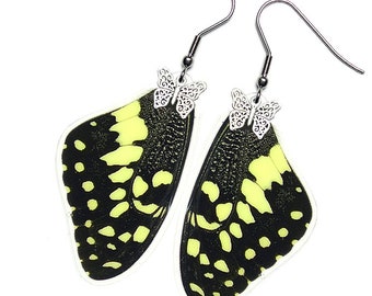 Real Butterfly Wing Earrings (Demodocus Forewing - E115) - USD5 off Coupon Code: US5OFF (Min.Spend USD40) - Buy 2 Get 1 Free