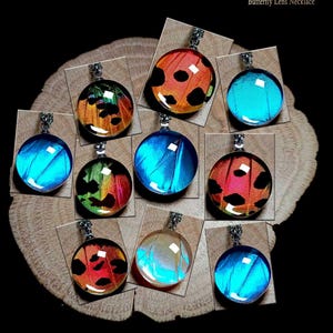 May include: A selection of round pendant necklaces showcasing butterfly wing patterns in diverse colours, such as blue, orange, and green. Each pendant has a silver-coloured bail. The text "Myshop9 Butterfly Lens Necklace" is visible.