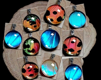 20 Wholesale Real Butterfly Wing Pendants – Blue Morpho & Sunset Moth Jewelry Bulk Lot