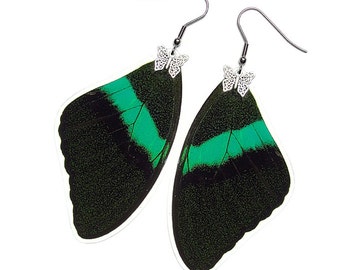 Real Butterfly Wing Earrings (Blumei Forewing - E004) - USD5 off Coupon Code: US5OFF (Min.Spend USD40) - Buy 2 Get 1 Free