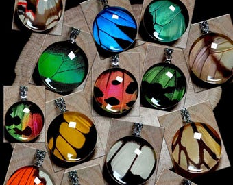 Wholesale 20-Piece Real Butterfly Wing Pendant Set – Affordable Handmade Jewelry for Gift Shops