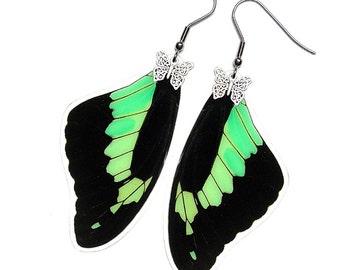 Real Butterfly Wing Earrings (Phorcas Forewing - E085) - USD5 off Coupon Code: US5OFF (Min.Spend USD40) - Buy 2 Get 1 Free