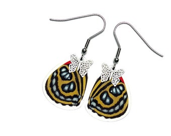 Real Butterfly Wing Earrings (Callicore Cyllene Hindwing - E186) - USD5 off Coupon Code: US5OFF (Min.Spend USD40) - Buy 2 Get 1 Free