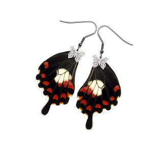 Real Butterfly Wing Earrings (Papilio Polytes Hindwing - E197) - USD5 off Coupon Code: US5OFF (Min.Spend USD40) - Buy 2 Get 1 Free