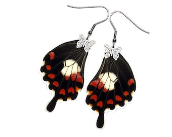 Real Butterfly Wing Earrings (Papilio Polytes Hindwing - E197) - USD5 off Coupon Code: US5OFF (Min.Spend USD40) - Buy 2 Get 1 Free