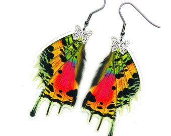 Real Butterfly Wing Earrings (Urania Ripheus HW - E053) - USD5 off Coupon Code: US5OFF (Min.Spend USD40) - Buy 2 Get 1 Free