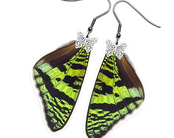 Real Butterfly Wing Earrings (Urania Ripheus FW - E073) - USD5 off Coupon Code: US5OFF (Min.Spend USD40) - Buy 2 Get 1 Free