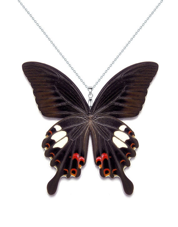 CA058 Porcelain Monarch Caterpillar Pendant \u2022 Hand Painted \u2022 Hand Made \u2022 Gift For Her \u2022 Animal lover \u2022 Kids Gift \u2022 Cute Miniature Figurine