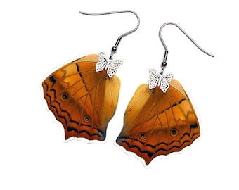 Real Butterfly Wing Earrings (Vindula Hindwing - E038) - USD5 off Coupon Code: US5OFF (Min.Spend USD40) - Buy 2 Get 1 Free