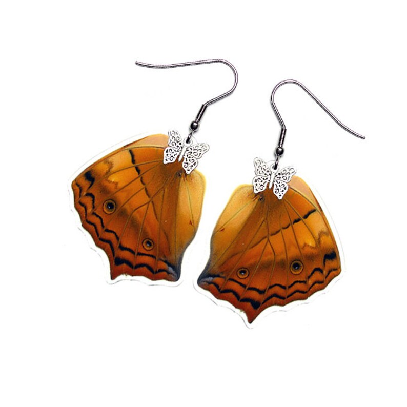 Real Butterfly Wing Earrings Vindula Hindwing E038 USD5 off Coupon Code: US5OFF Min.Spend USD40 Buy 2 Get 1 Free image 1