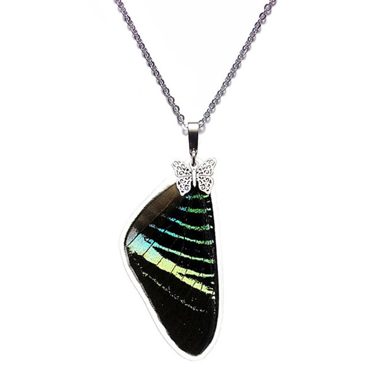 Real Butterfly Wing Pendant Necklace Urania Leilus Forewing - N033 Buy 2 Get 1 Free