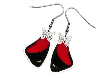 Real Butterfly Wing Earrings (Callicore Cyllene Forewing - E185) - USD5 off Coupon Code: US5OFF (Min.Spend USD40) - Buy 2 Get 1 Free