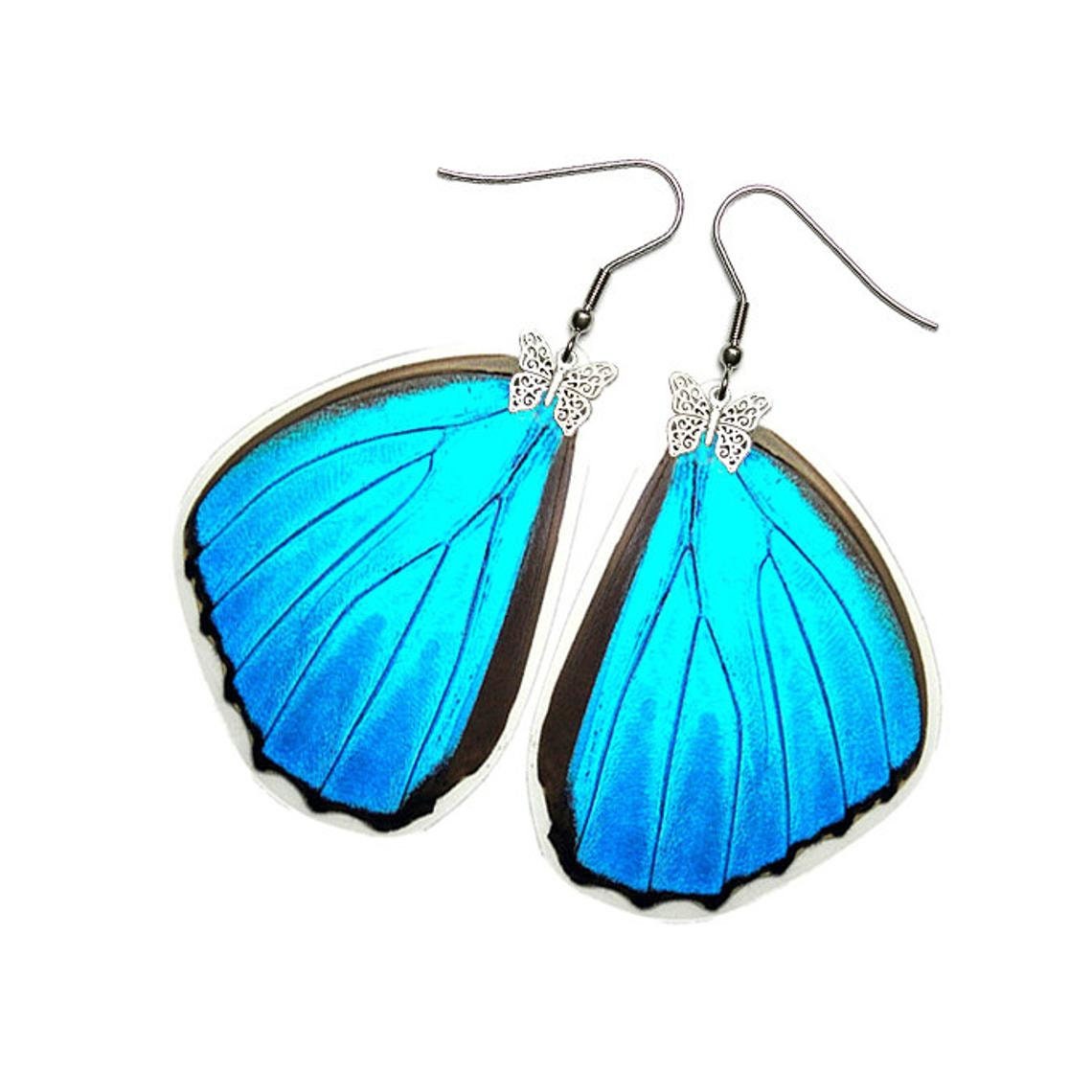 Real Butterfly Earrings (Blue Morpho Menelaus - E167) - Buy 2 Get 1 F…