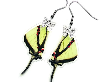 Real Butterfly Wing Earrings (Agetes Hindwing - E005) - USD5 off Coupon Code: US5OFF (Min.Spend USD40) - Buy 2 Get 1 Free