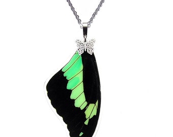 Real Butterfly Wing Necklace (Papilio phorcas forewing - N053) - USD5 off Coupon Code: US5OFF (Min.Spend USD40) - Buy 2 Get 1 Free