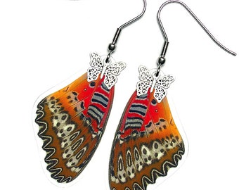 Real Butterfly Wing Earrings (Biblis Forewing - E058) - USD5 off Coupon Code: US5OFF (Min.Spend USD40) - Buy 2 Get 1 Free