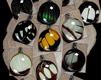 Wholesale Real Butterfly Wing Necklaces – 10-Piece Budget Jewelry Set for Gift Shops