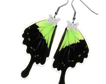 Real Butterfly Wing Earrings (Phorcas Hindwing - E097) - USD5 off Coupon Code: US5OFF (Min.Spend USD40) - Buy 2 Get 1 Free