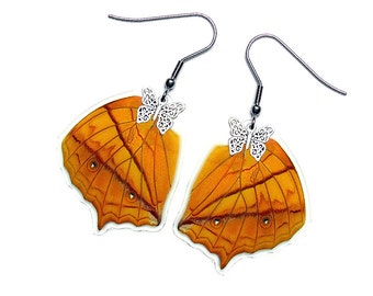 Real Butterfly Wing Earrings (Vindula Hindwing - E043) - USD5 off Coupon Code: US5OFF (Min.Spend USD40) - Buy 2 Get 1 Free
