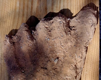 Real SASQUATCH YETI BIGFOOT - Original Footprint it's Not a Copy, Old Footprint found in Western Europe - Quality Museum