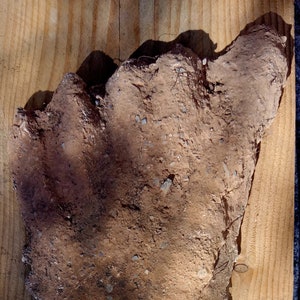 Real SASQUATCH YETI BIGFOOT - Original Footprint it&#39;s Not a Copy, Old Footprint found in Western Europe - Quality Museum