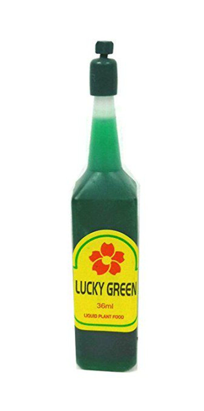 thumbnail image 2 of Money Tree Plant – Feng Shui Good Luck Tree – Potted – Includes Free Plant Food 2 of 5