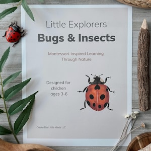 imprimable préscolaire,inspiration montessori,activité sur le thème de la nature,activité de jeu sensoriel,pack préscolaire,imprimable bilingue,école à la maison,pack préK
