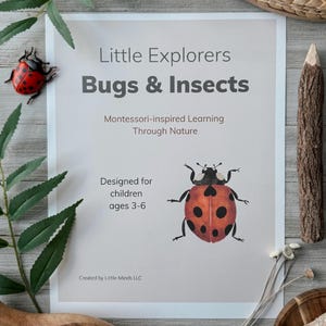 Imprimible preescolar ESPAÑOL,inspirado Montessori,actividad naturaleza,juego sensorial,paquete educativo,material didactico,ciencia niños