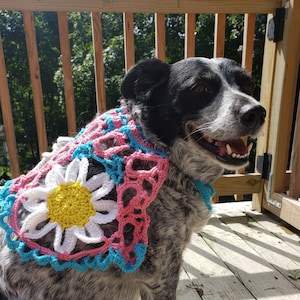 Daisy Dog Poncho Decorative Collar