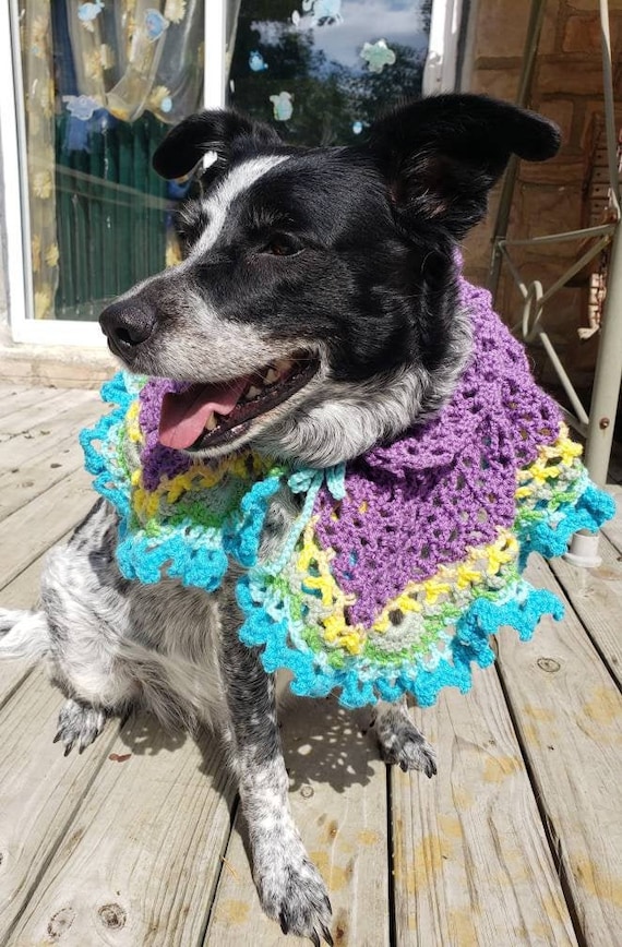 Frilly Lacy Dog Poncho Collar Decorativo | Etsy España