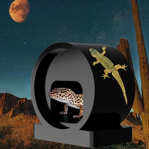May include: A black, cylindrical reptile hide with a round opening. A small, brown and white gecko is peeking out of the opening. A larger, green gecko is on the outside of the hide.