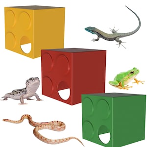 May include: Three colourful, cube-shaped reptile hideaways with a hole on one side. The cubes are yellow, red, and green. A green tree frog, a brown and white gecko, a blue and brown lizard, and a white and brown snake are shown in the image.