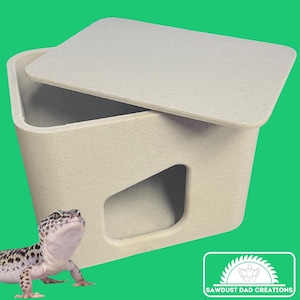 Può includere: Un nascondiglio rettangolare beige per rettili con un coperchio rimovibile e un'unica apertura sul davanti. Il nascondiglio è realizzato in un materiale testurizzato e ha un piccolo geco marrone chiaro di fronte.