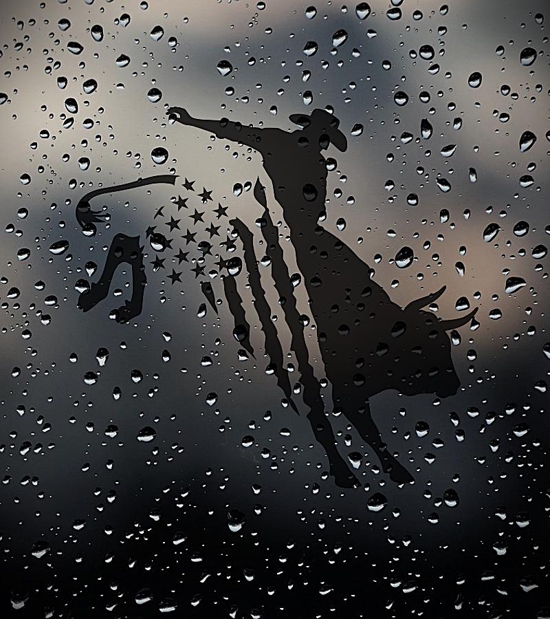Bull Rider Decal, Bull Riding Car Sticker, Rodeo Bull Rider Decal ...