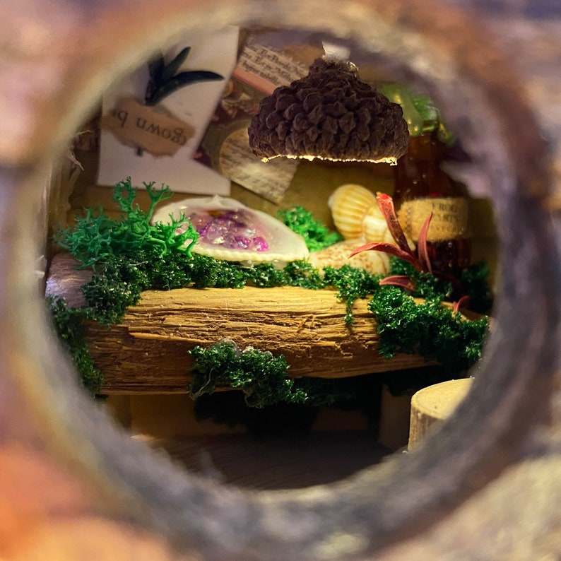 Może przedstawiać: Miniaturowa scena diorama widziana przez okrągły otw&oacute;r. Scena zawiera drewnianą p&oacute;łkę z zielonym mchem, muszlami i butelką z napisem "Frog's Potion". Małe światło oświetla scenę, podkreślając szczeg&oacute;ły w miniaturowym świecie.