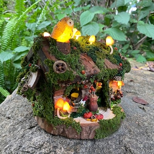 Może przedstawiać: Miniaturowy domek dla wr&oacute;żek z dachem i ścianami pokrytymi mchem, ozdobiony świecącymi grzybami i figurką sowy. Domek ma drewnianą podstawę i jest udekorowany małymi jagodami i naturalnymi elementami. Światła tworzą ciepłą, zachęcającą poświatę.