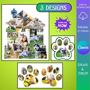 Op de afbeelding: Een digitale download-sjabloon met drie ontwerpen voor fotocollages van huisdieren. Eén ontwerp is huisvormig, een ander is een enkele pootafdruk en de derde toont twee pootafdrukken. De sjablonen bevatten de tekst 3 DESIGNS, DOWNLOAD NOW en Canva.