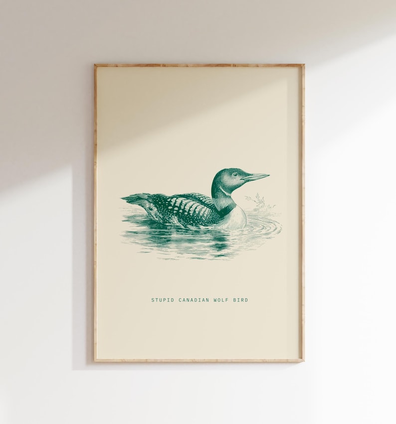 May include: A framed print featuring a vintage-style illustration of a loon swimming in water. The artwork is in shades of green and white, with the text "STUPID CANADIAN WOLF BIRD" at the bottom. The frame is a light wood color.
