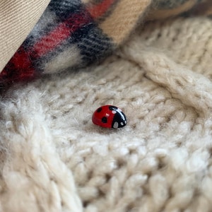 Realistic Ladybird Pin, Miniature Handmade Lady Bug, Entomologist Cute Insect Pin Badge, Lucky Ladybird, Hyper-realistic Ladybird Pin