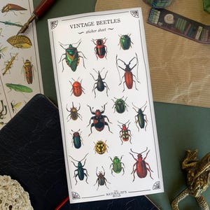Vintage Beetle Sticker Sheet: Entomology Insect Stickers for Journaling