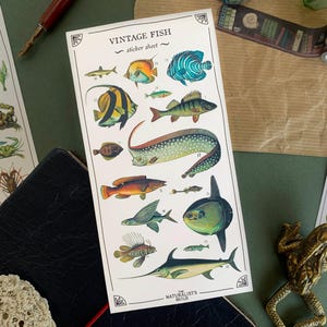 Hoja de pegatinas con ilustraciones de peces antiguos, pegatinas vintage de animales para diario y scrapbooking, pegatinas para planificador con temática del Museo de Historia Natural
