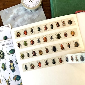 May include: Stationery set with vintage beetle designs. The set includes sticker sheets, washi tape, and a notebook. The tape and sticker sheets showcase colorful beetle illustrations. The washi tape has the Natural World NY logo.