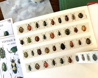 Vintage Beetle Washi Tape: Entomology Insect Stationery (SECONDS)