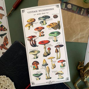 Cottagecore vintage paddestoel planner stickers, vintage stickervel paddestoel en paddenstoel voor journaling, Bujo Nature stickervel